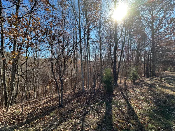 $22,500 | 0 Thunder Ridge Drive, Sherwood, TN 37376