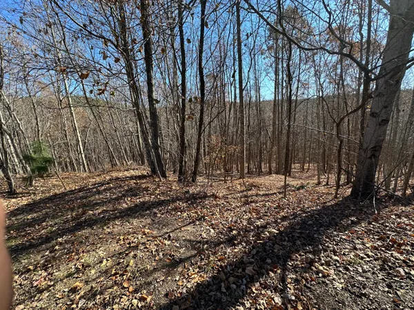 $22,500 | 0 Thunder Ridge Drive, Sherwood, TN 37376