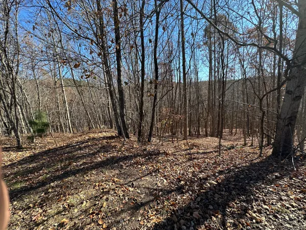 $22,500 | 0 Thunder Ridge Drive, Sherwood, TN 37376