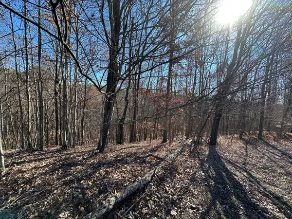 $22,500 | 0 Thunder Ridge Drive, Sherwood, TN 37376