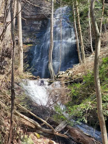 $39,500 | 0 Thunder Ridge Drive, Sherwood, TN 37376