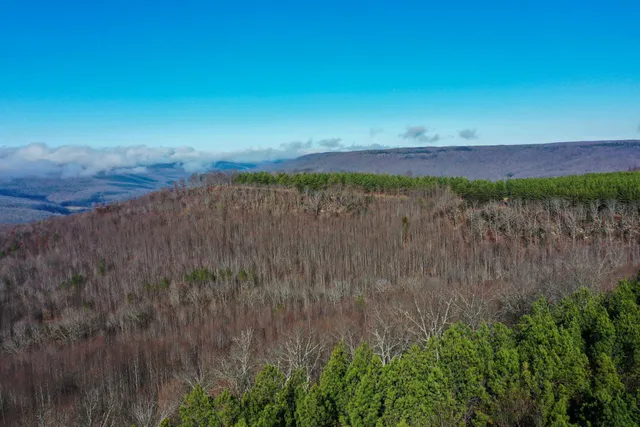 $39,500 | 0 Thunder Ridge Drive, Sherwood, TN 37376