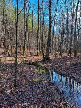 $22,500 | 0 Thunder Ridge Drive, Sherwood, TN 37376