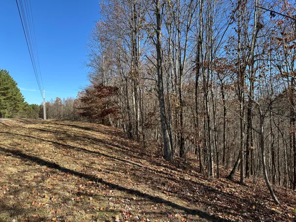 $22,500 | 0 Thunder Ridge Drive, Sherwood, TN 37376