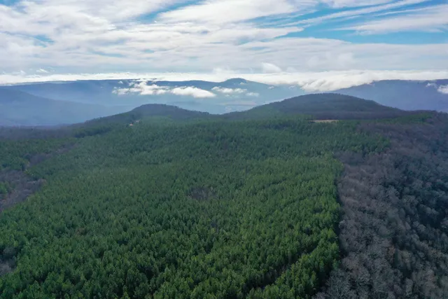 $39,500 | 0 Thunder Ridge Drive, Sherwood, TN 37376