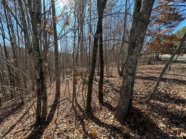 $22,500 | 0 Thunder Ridge Drive, Sherwood, TN 37376