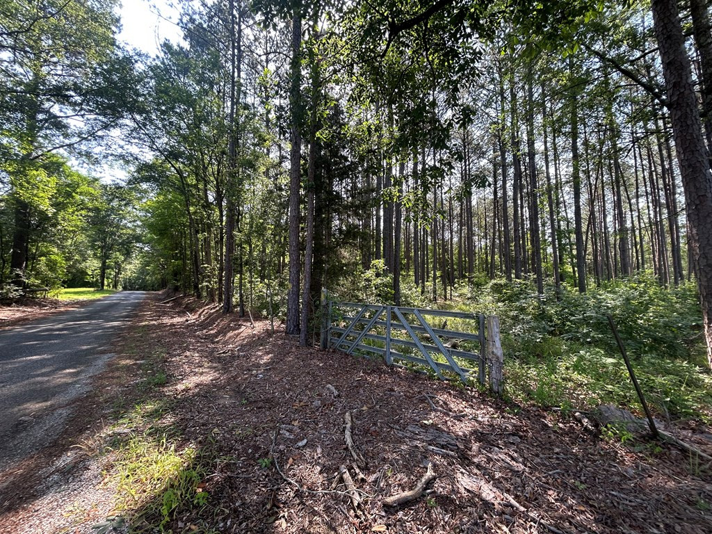 280 Tracie Road Carthage, MS 39051 - Photo 2 of 9 Photo 2