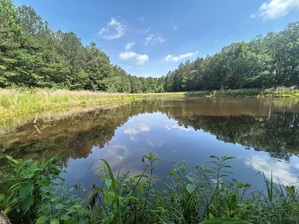 280 Tracie Road Carthage, MS 39051 - Photo 3 of 9 Photo 3