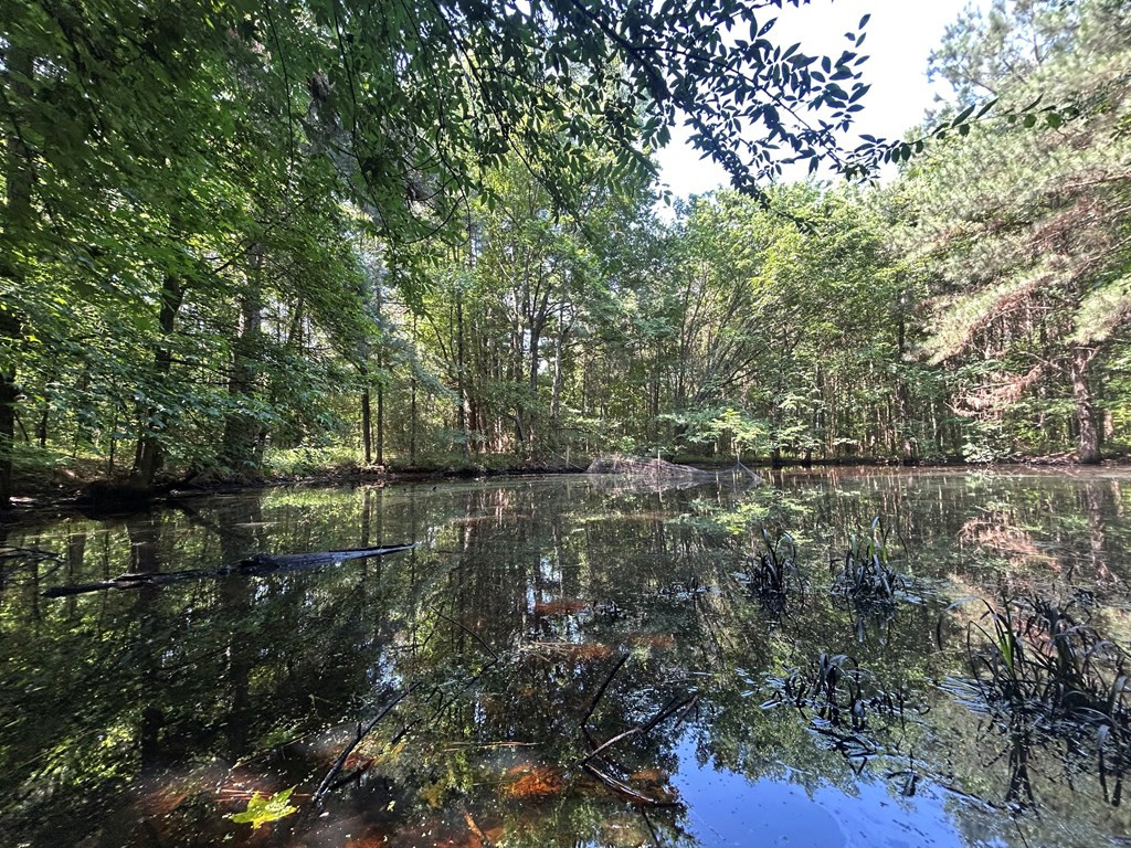 280 Tracie Road Carthage, MS 39051 - Photo 8 of 9 Photo 8