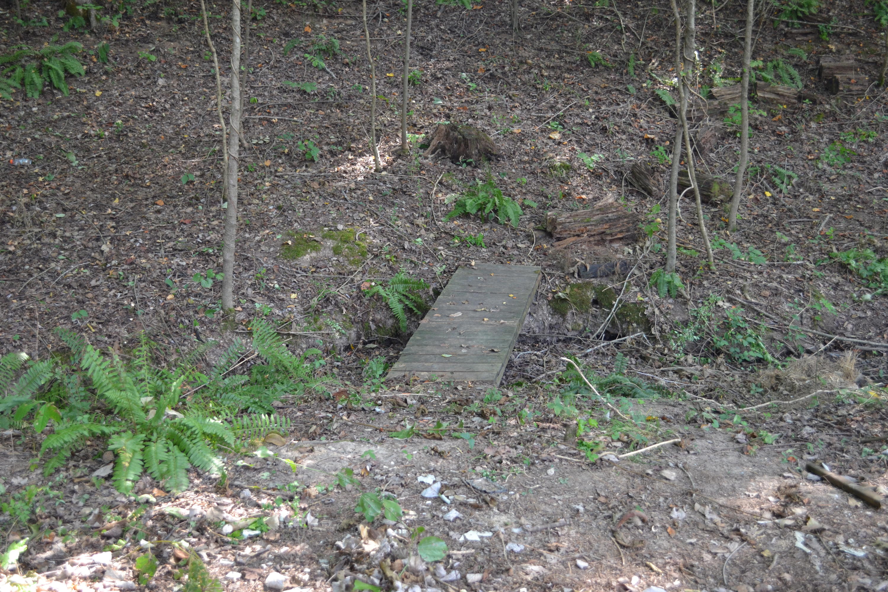 367 Tabernacle Road Jasper, TN 37347 - Photo 9 of 14 DSC_0007