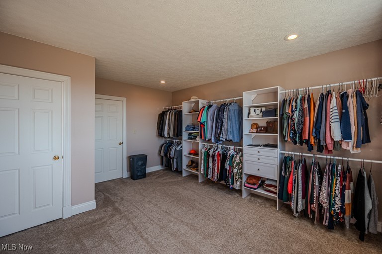 434 Rector Road Parkersburg, WV 26104 - Photo 23 of 50 Spacious closet featuring carpet floors