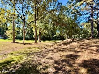 1029 Loom Street Wesson, MS 39191 - Photo 20 of 29 IMG_3133