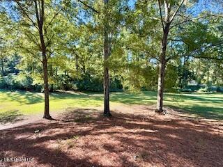 1029 Loom Street Wesson, MS 39191 - Photo 22 of 29 IMG_3135