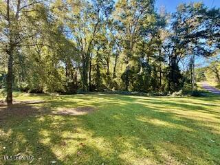 1029 Loom Street Wesson, MS 39191 - Photo 23 of 29 IMG_3136