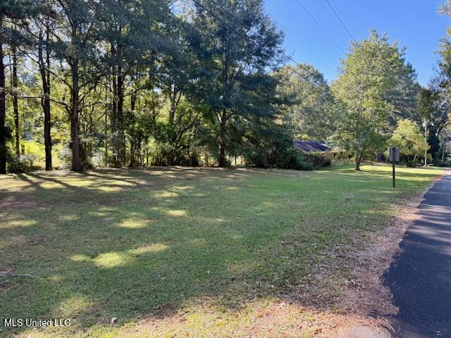 1029 Loom Street Wesson, MS 39191 - Photo 27 of 29 IMG_3151