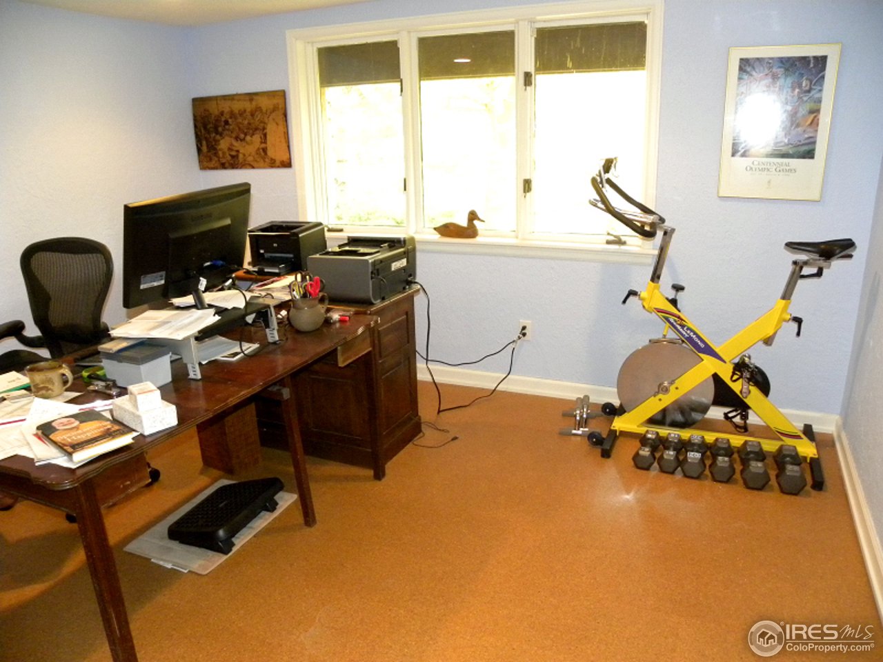 7176 Four Rivers Road Boulder, CO 80301 - Photo 16 of 24 a room with gym equipment and windows