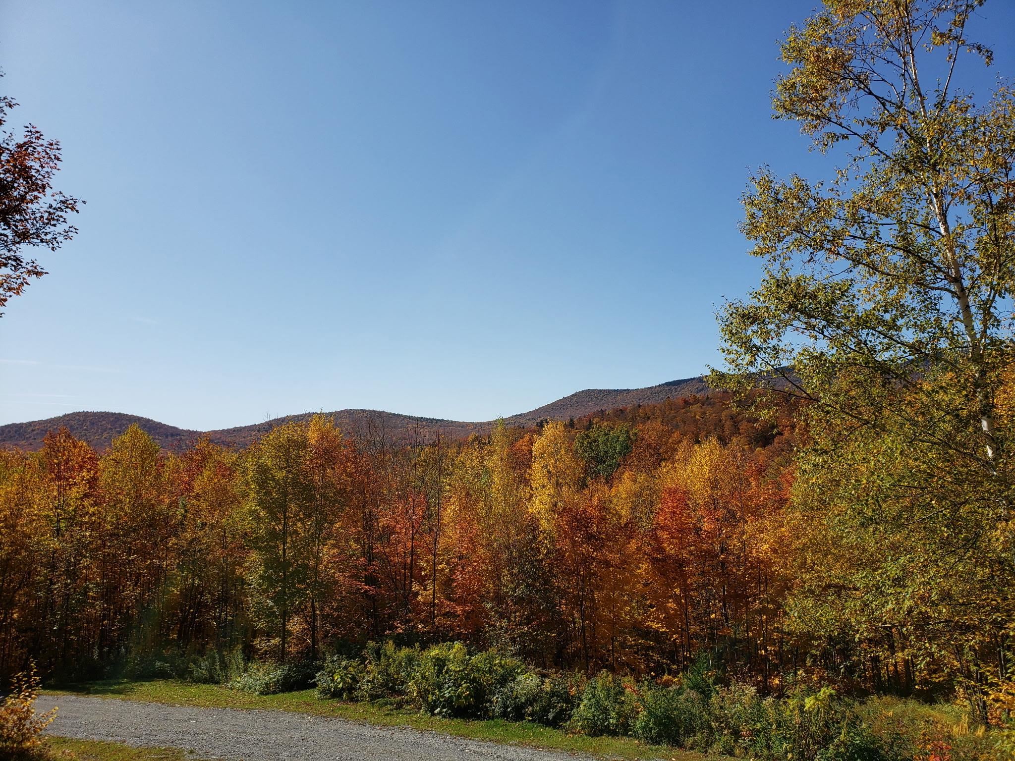 460 Bull Moose Ridge Road Stowe, VT 05672 - Photo 7 of 36