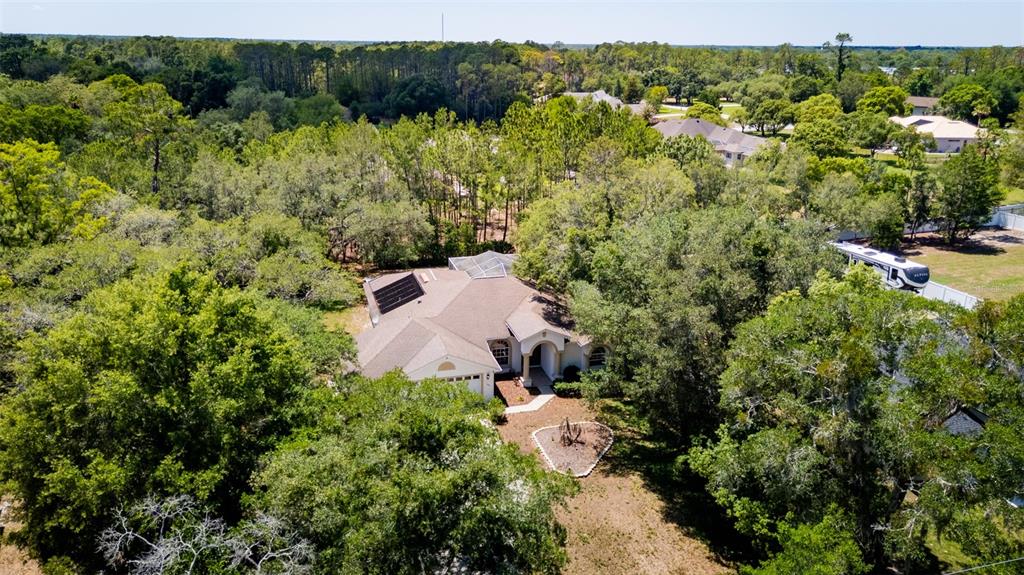 9183 Nightingale Road Weeki Wachee, FL 34613 - Photo 28 of 32
