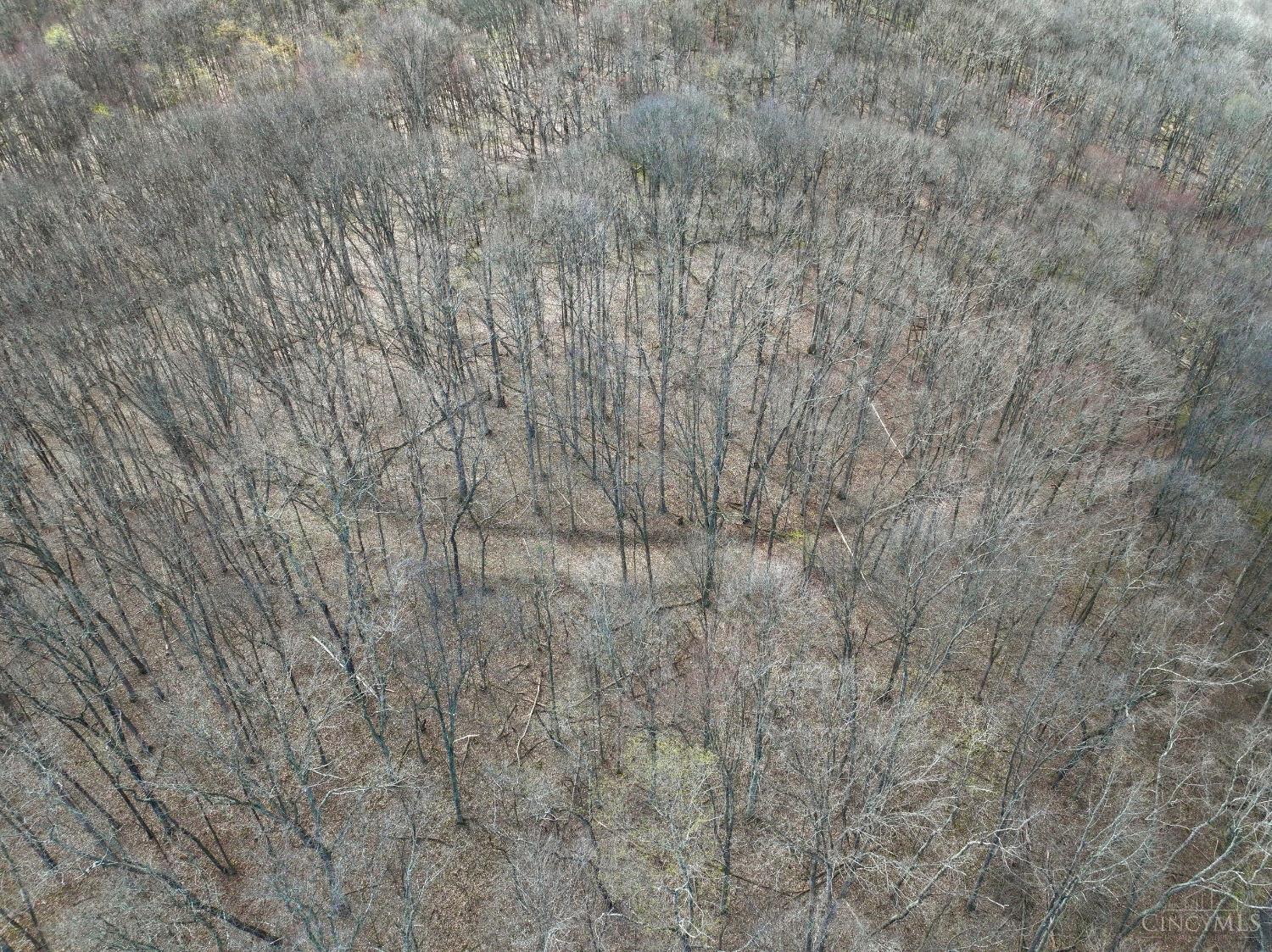 0 Fyffe Hollow Road Chillicothe, OH 45601 - Photo 36 of 96