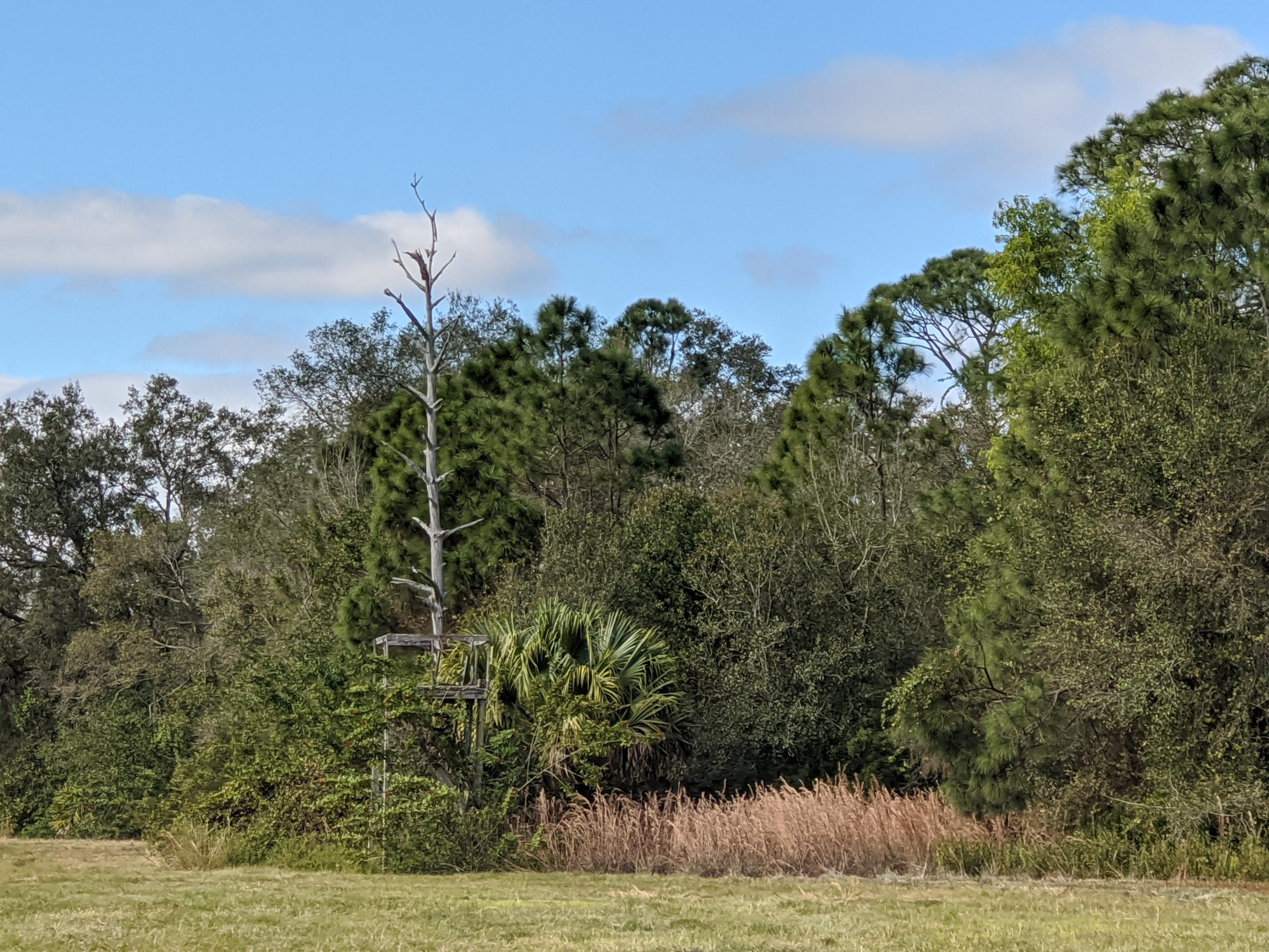 7851 Southwest Fox Brown Road Indiantown, FL 34956 - Photo 33 of 67 IMG_20210109_113719