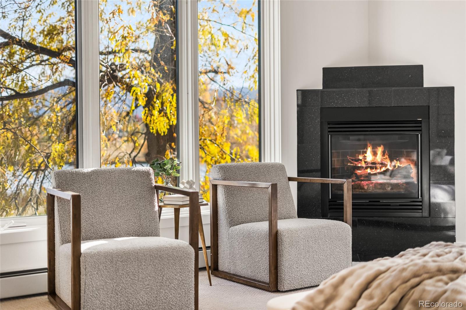 700 Utica Avenue Boulder, CO 80304 - Photo 22 of 50 a living room with furniture and a fireplace