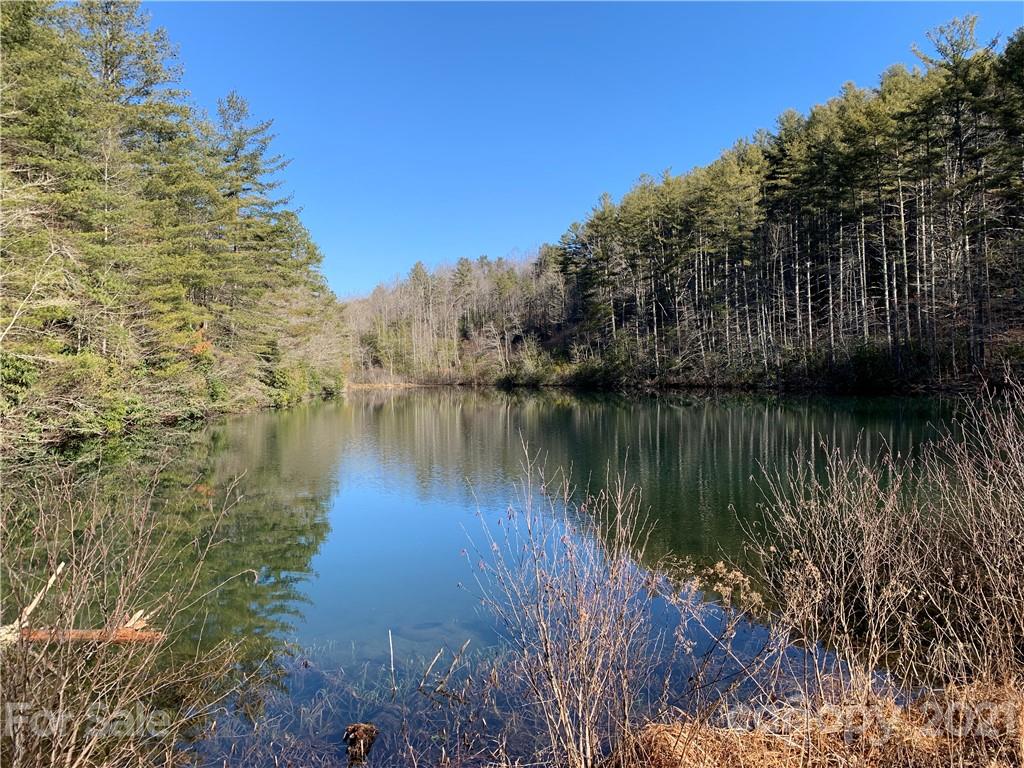 7 Long Branch Road, Unit CAMP 7 Brevard, NC 28712 - Photo 11 of 25 Gallery Image 11