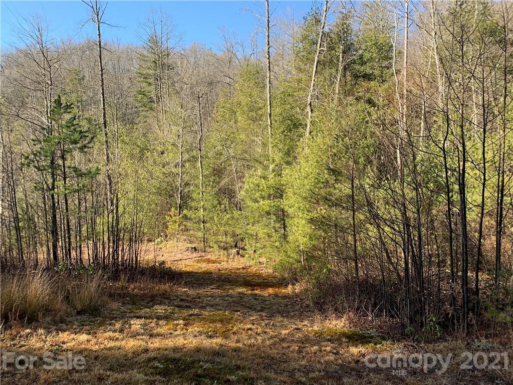 7 Long Branch Road, Unit CAMP 7 Brevard, NC 28712 - Photo 12 of 25 Gallery Image 12