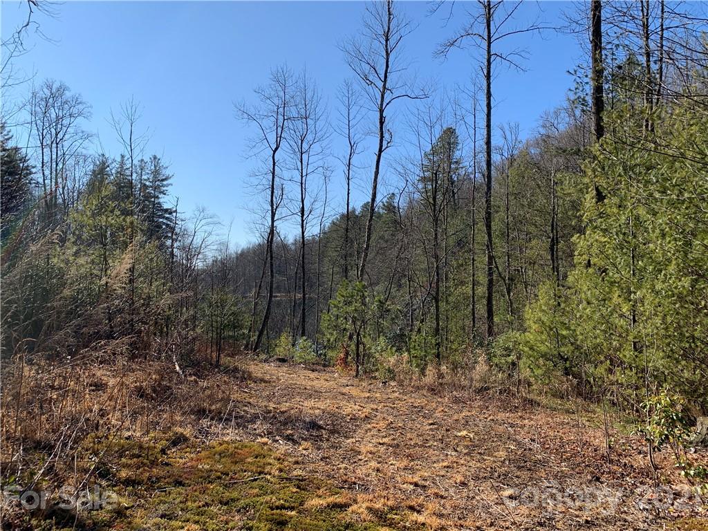 7 Long Branch Road, Unit CAMP 7 Brevard, NC 28712 - Photo 13 of 25 Gallery Image 13