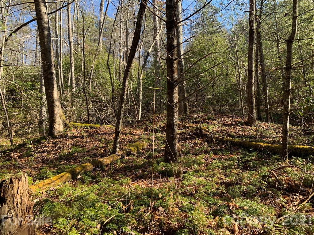 7 Long Branch Road, Unit CAMP 7 Brevard, NC 28712 - Photo 15 of 25 Gallery Image 15