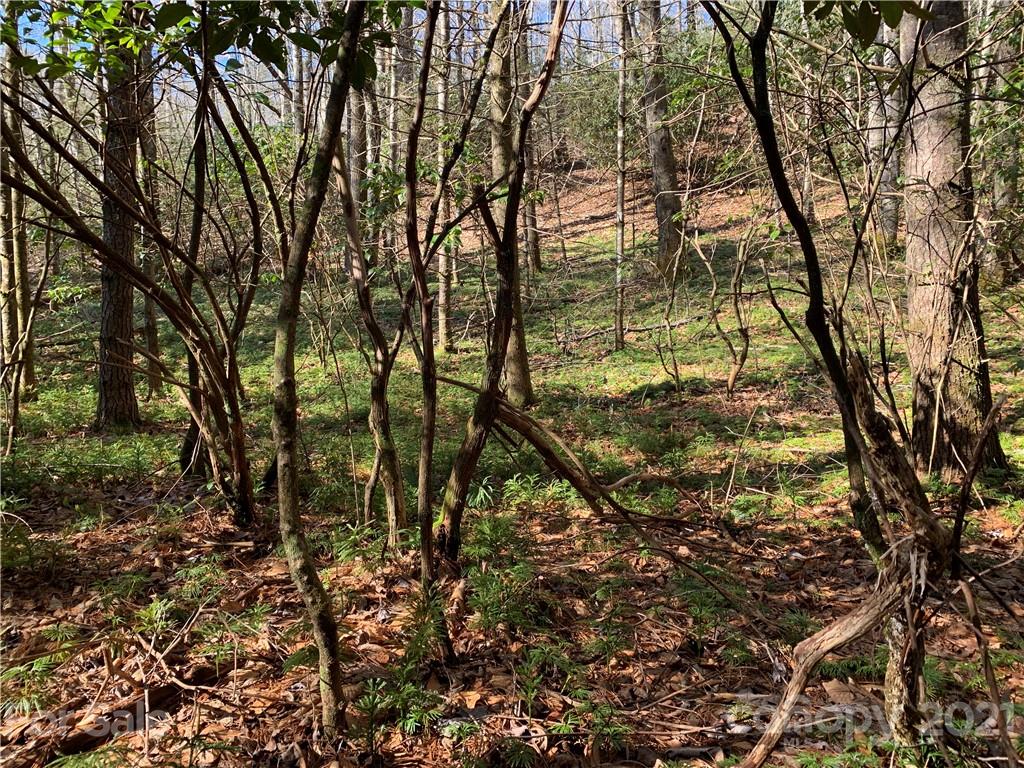 7 Long Branch Road, Unit CAMP 7 Brevard, NC 28712 - Photo 16 of 25 Gallery Image 16