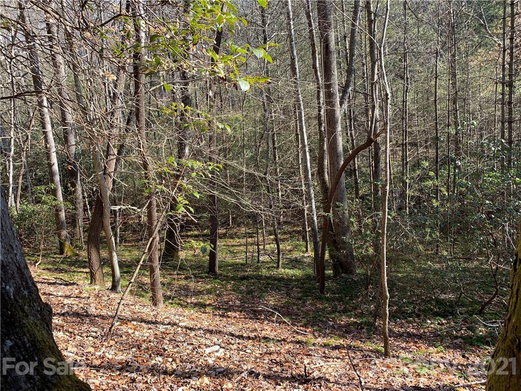 7 Long Branch Road, Unit CAMP 7 Brevard, NC 28712 - Photo 18 of 25 Gallery Image 18