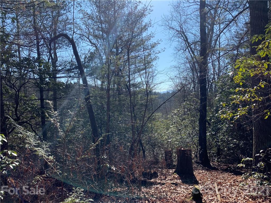 7 Long Branch Road, Unit CAMP 7 Brevard, NC 28712 - Photo 20 of 25 Gallery Image 20