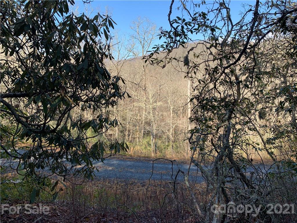 7 Long Branch Road, Unit CAMP 7 Brevard, NC 28712 - Photo 22 of 25 Gallery Image 22