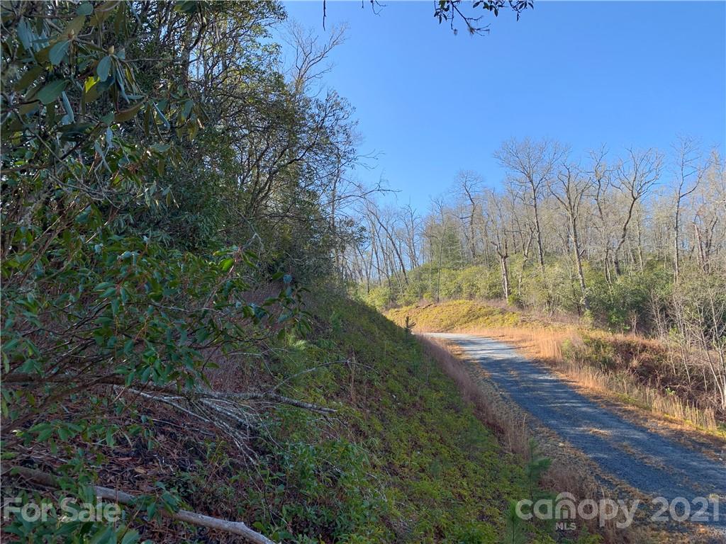 7 Long Branch Road, Unit CAMP 7 Brevard, NC 28712 - Photo 23 of 25 Gallery Image 23