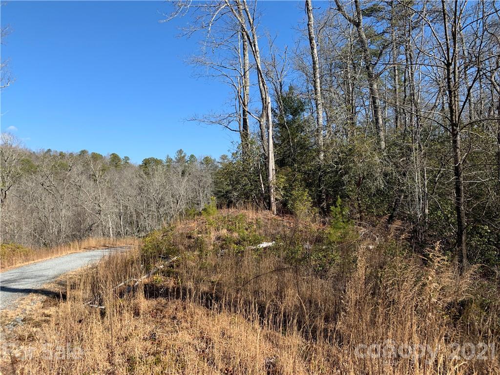 7 Long Branch Road, Unit CAMP 7 Brevard, NC 28712 - Photo 24 of 25 Gallery Image 24