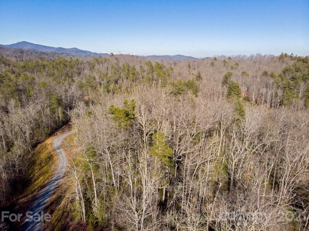 7 Long Branch Road, Unit CAMP 7 Brevard, NC 28712 - Photo 6 of 25 Gallery Image 6