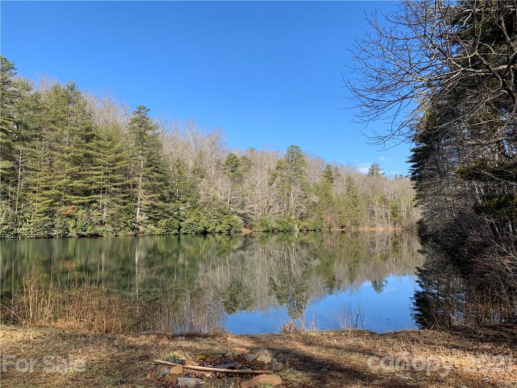7 Long Branch Road, Unit CAMP 7 Brevard, NC 28712 - Photo 10 of 25 Gallery Image 10