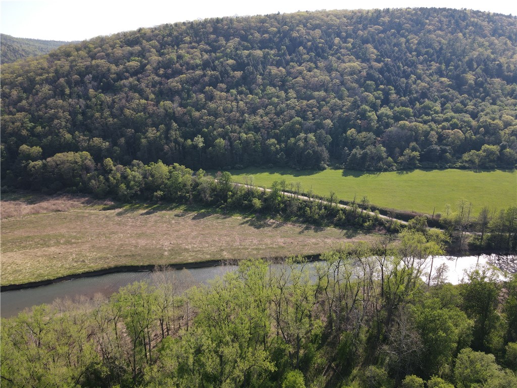 Lot 3 McChesney Road Cameron, NY 14819 - Photo 12 of 21