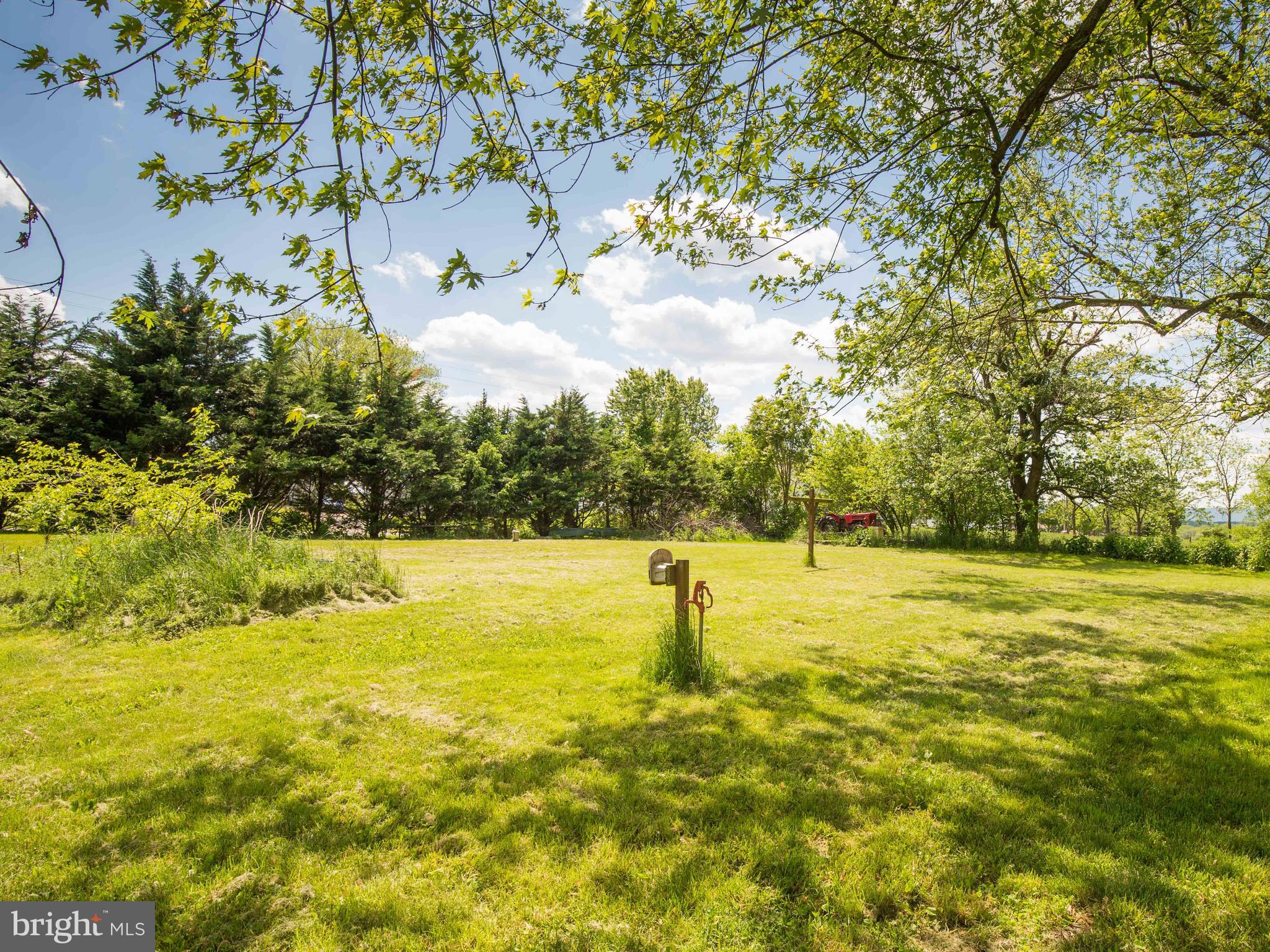 117 Bryarly Road Winchester, VA 22603 - Photo 4 of 59 Gallery Image 4