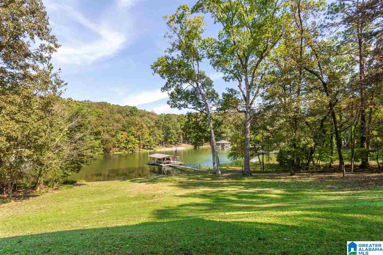 325 Cherokee Road Cropwell, AL 35054 - Photo 33 of 46
