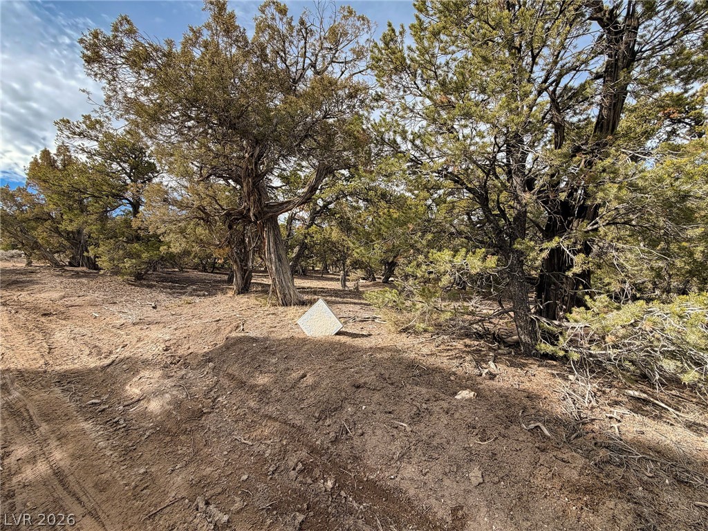 Pinion Pines Duchesne, UT 84021 - Photo 12 of 17