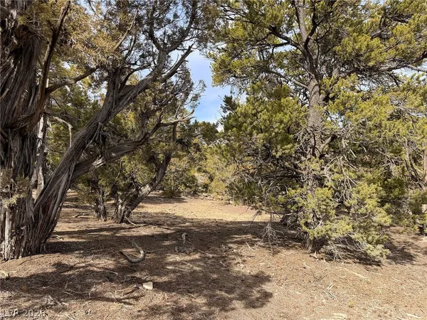 $15,000 | Pinion Pines, Duchesne, UT 84021