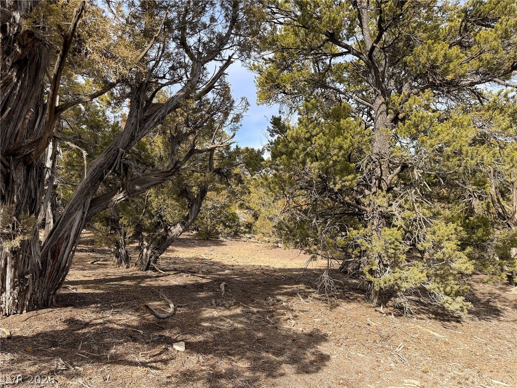 Pinion Pines Duchesne, UT 84021 - Photo 13 of 17