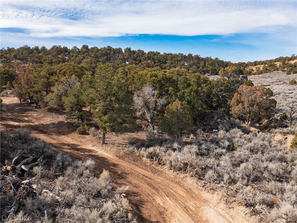 Pinion Pines Duchesne, UT 84021 - Photo 8 of 17