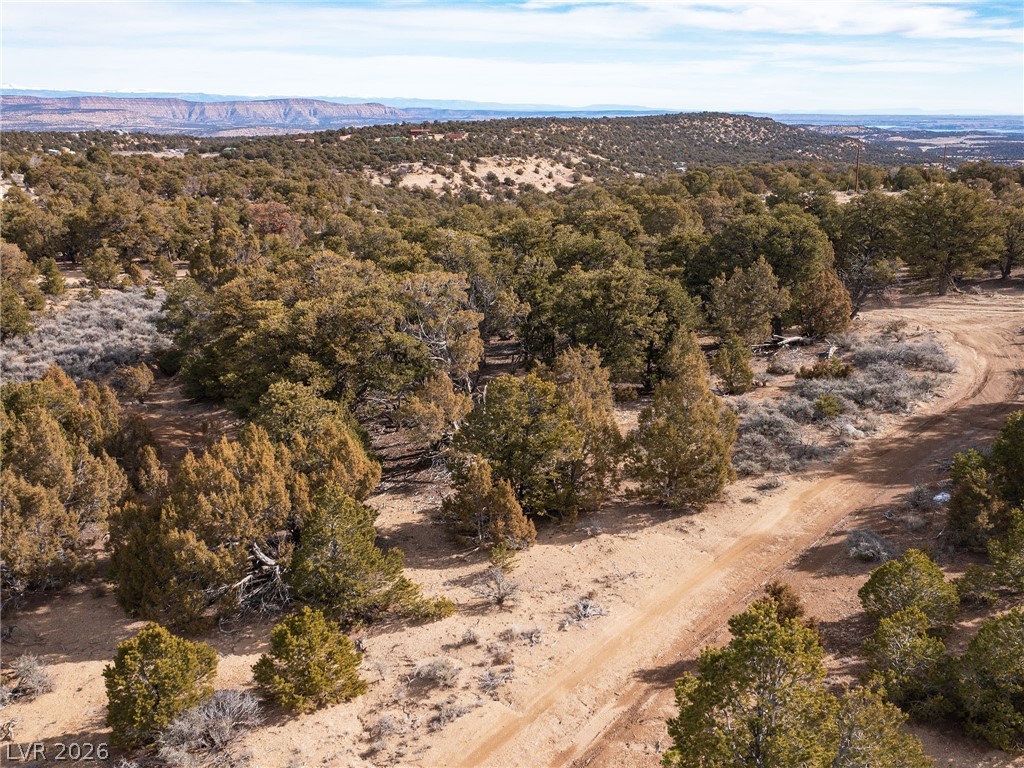 Pinion Pines Duchesne, UT 84021 - Photo 10 of 17