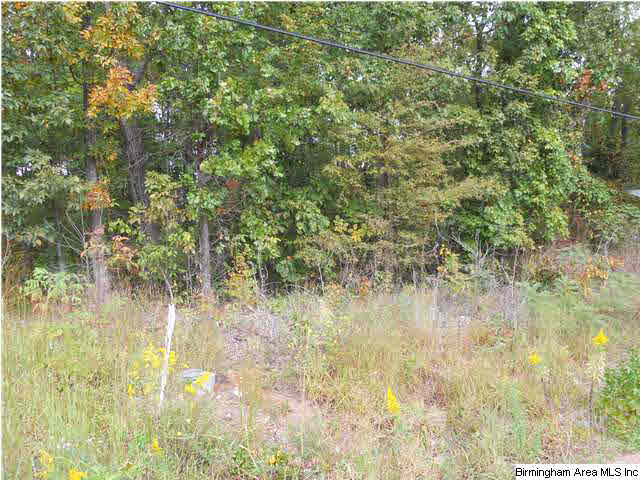 Rocky Road, Unit 58 Sylacauga, AL 35151 - Photo 3 of 7