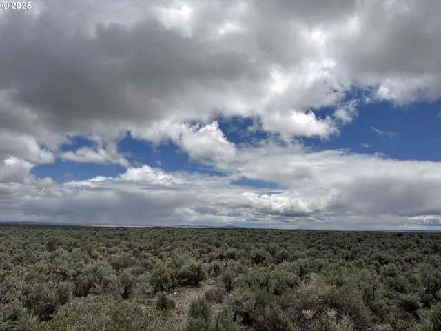 a view of a dry field