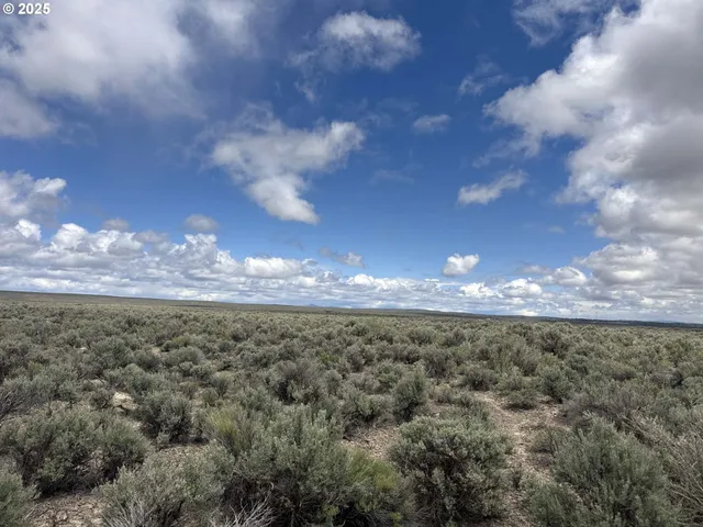 a view of a bunch of trees in a field