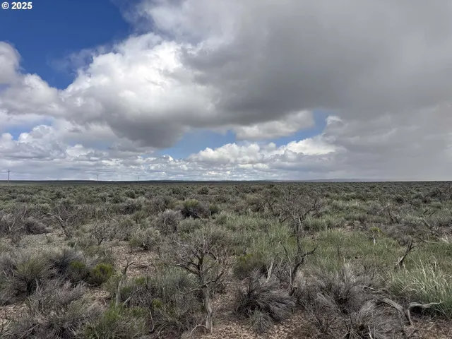 a view of a bunch of trees in a field