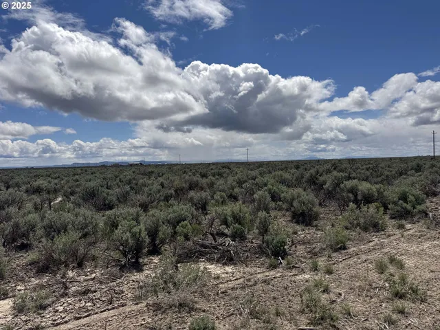 a view of a dry yard